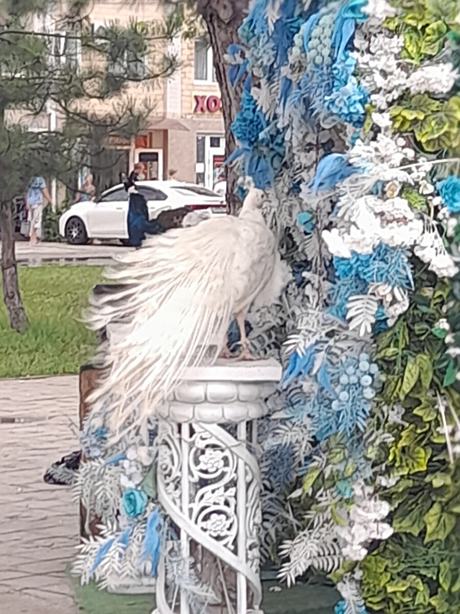 фото автора, деситикратное увеличение.