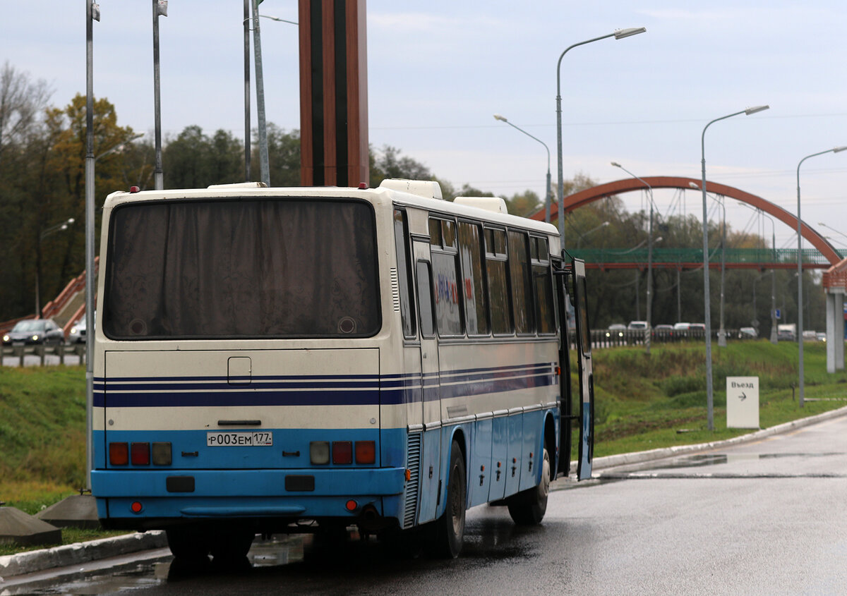 Автобус Ikarus и самолеты в авиапарке Орешково | ФотоОхота на автомобили |  Дзен