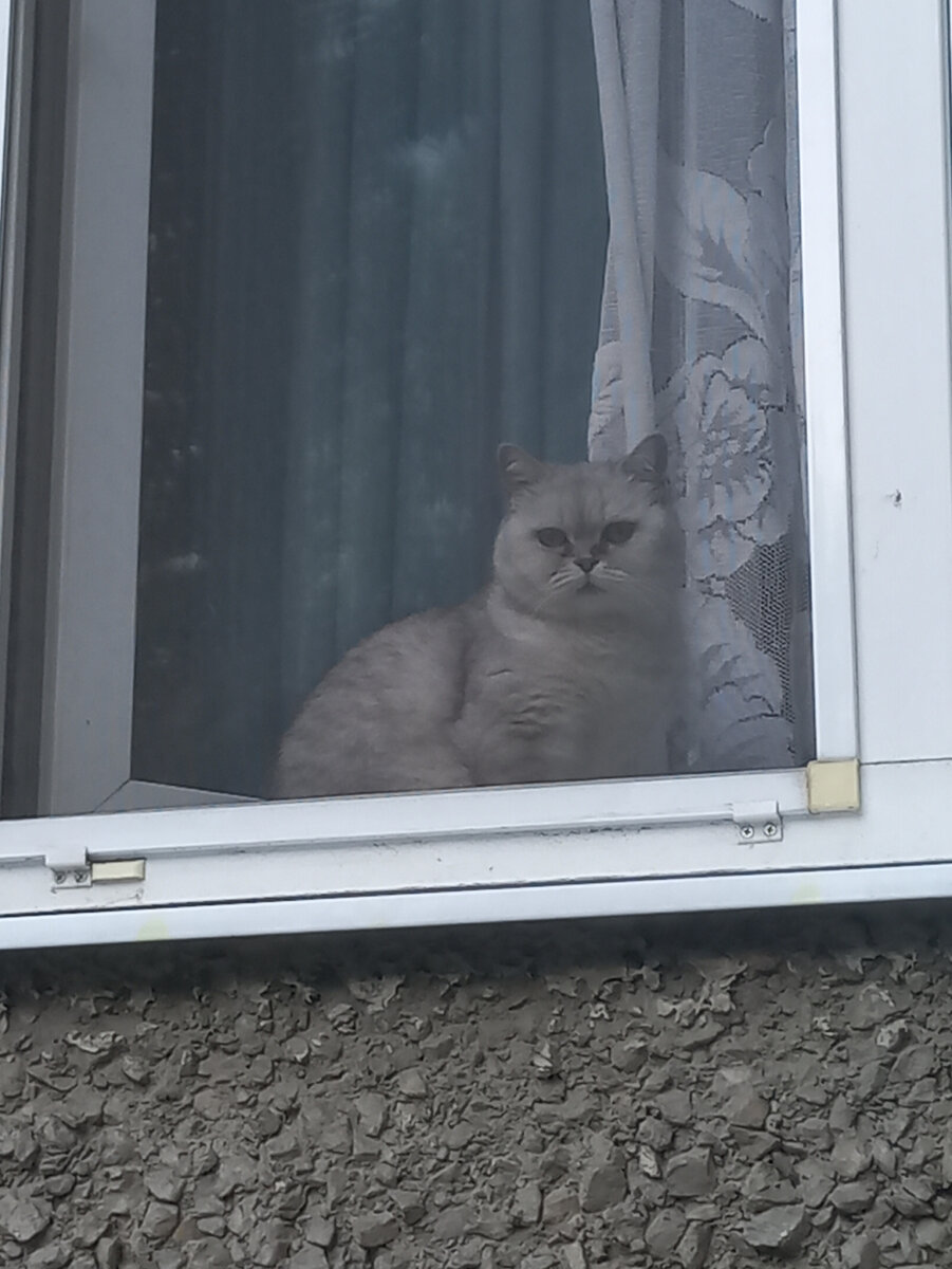 Утренний Екатеринбург