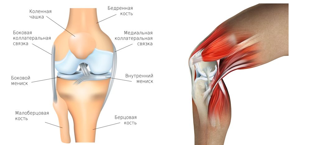 Колена ли. Может ли колено запасть назад. Плохо ли то то что коленная чашечка двигается в разные стороны.