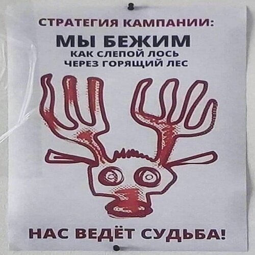 Картинка из Интернета.