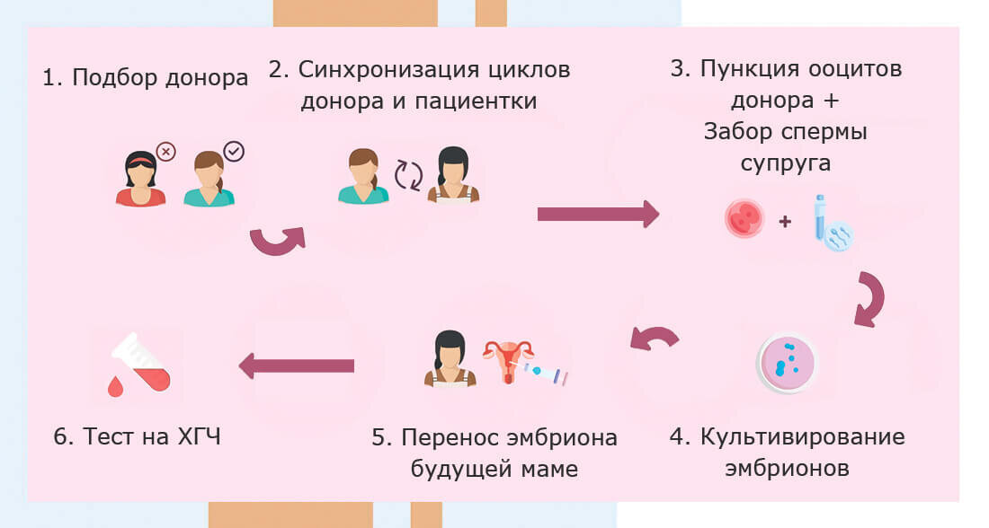 Физиология успеха: влияние гормонов на личность человека — Reprolife