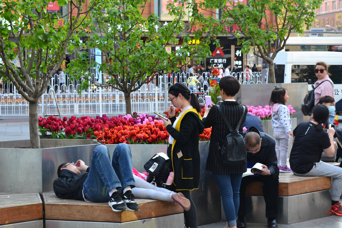 УЛИЧНАЯ ЕДА - Ванфуцзин в Пекине (Wangfujing Snack Street). Скорпионы,  личинки, многоножки. ВКУС КИТАЯ на одной улице. Путешествия по миру | Anaks  from Питер 💙 Моя простая жизнь | Дзен