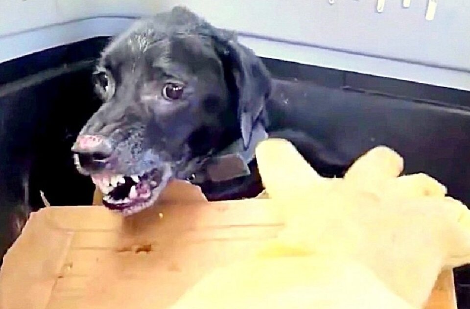 И старался отодвинуться от нее подальше