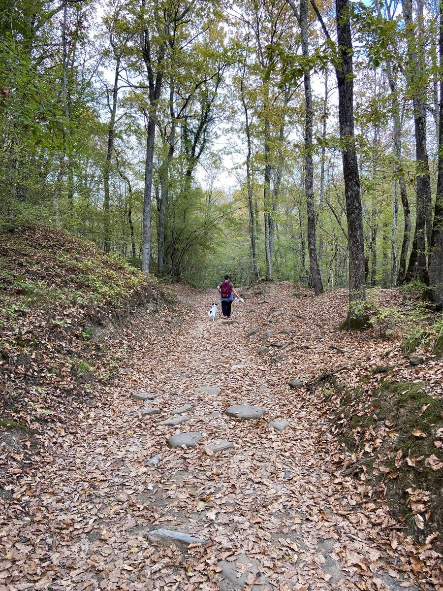 Так хорошо погулять здесь в "несезон"