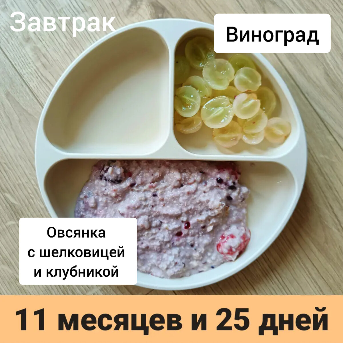 Пример тарелки в 11 месяцев 