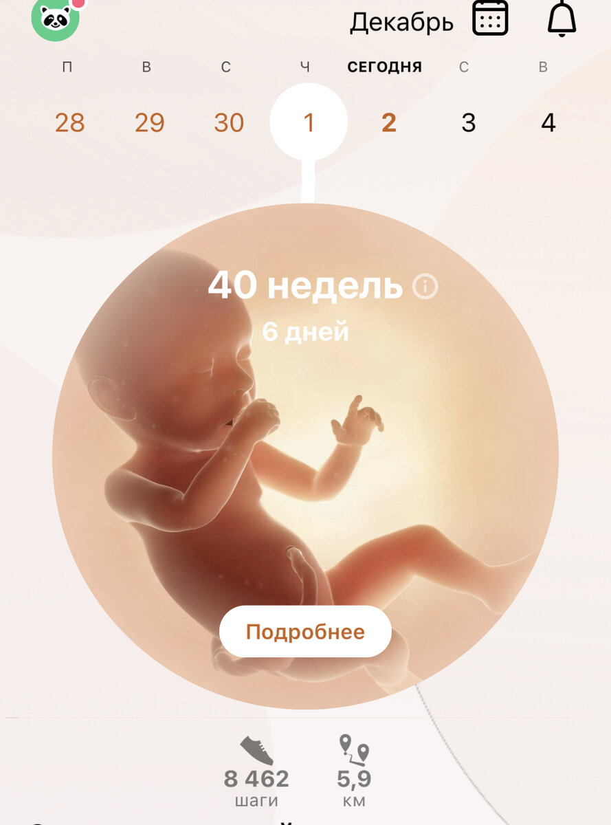 Нормально так прошлась, готовилась)