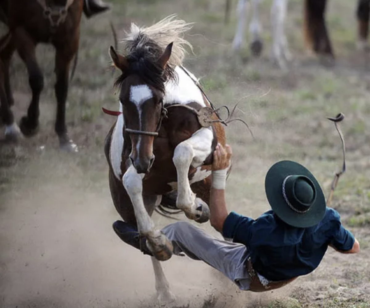 Уругвайский ковбой 5 букв. Фестиваль родео Уругвай. Раненый ковбой. Ковбой падает с лошади. Ковбой из Уругвая.