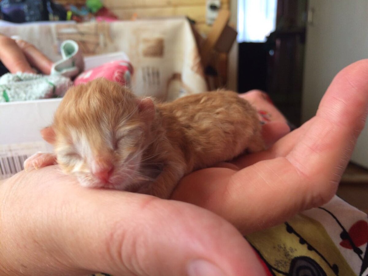 Третий день жизни. Фото автора