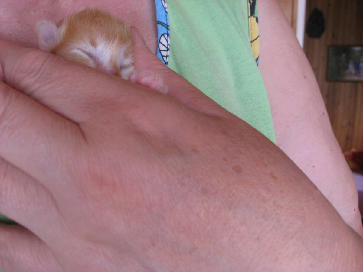 Вот так носила своего малыша. Фото автора