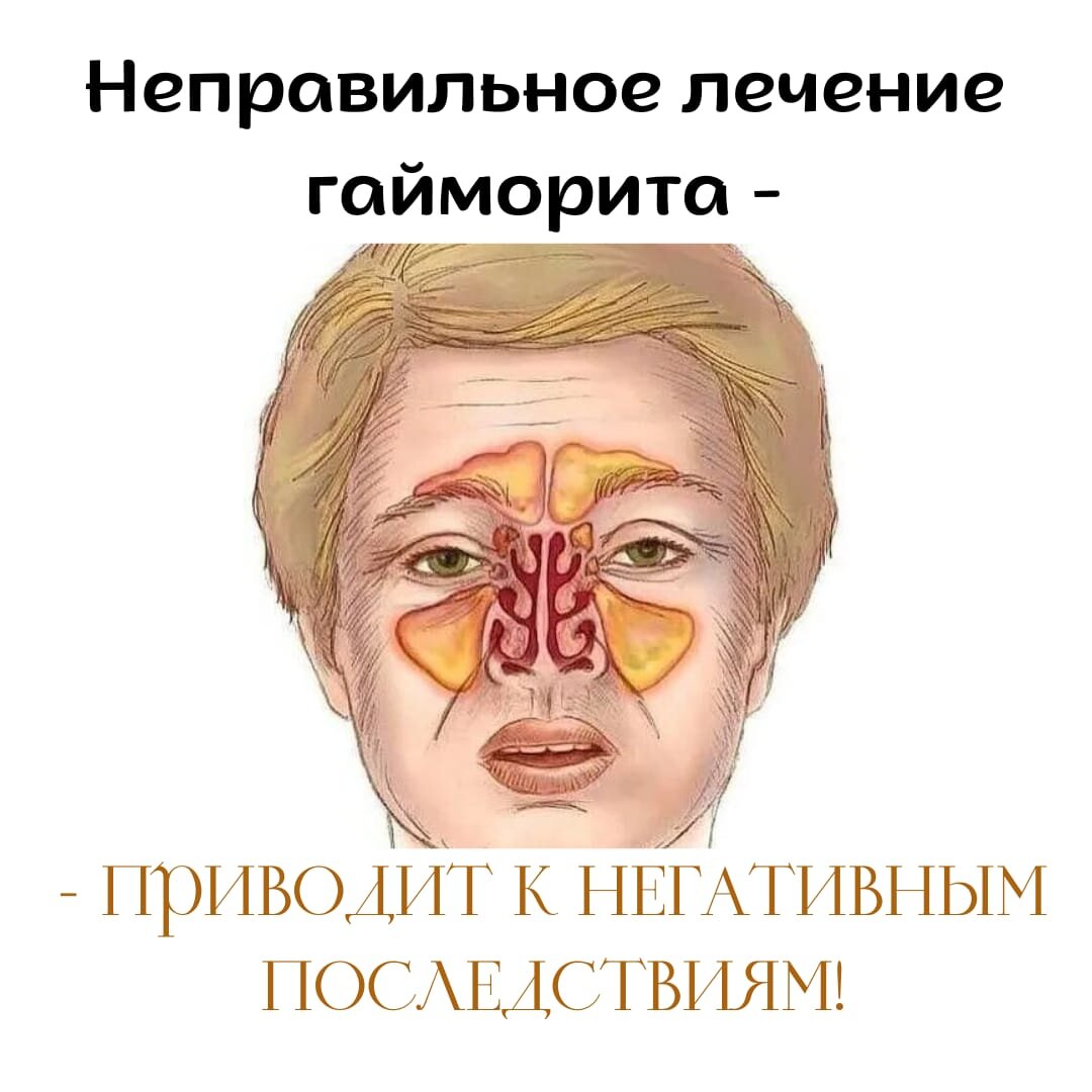 Анатомия и функции носа