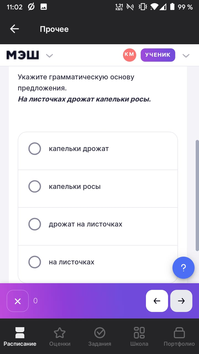 Зачем забивать головы школьников ненужными филологическими выкрутасами  взрослых 