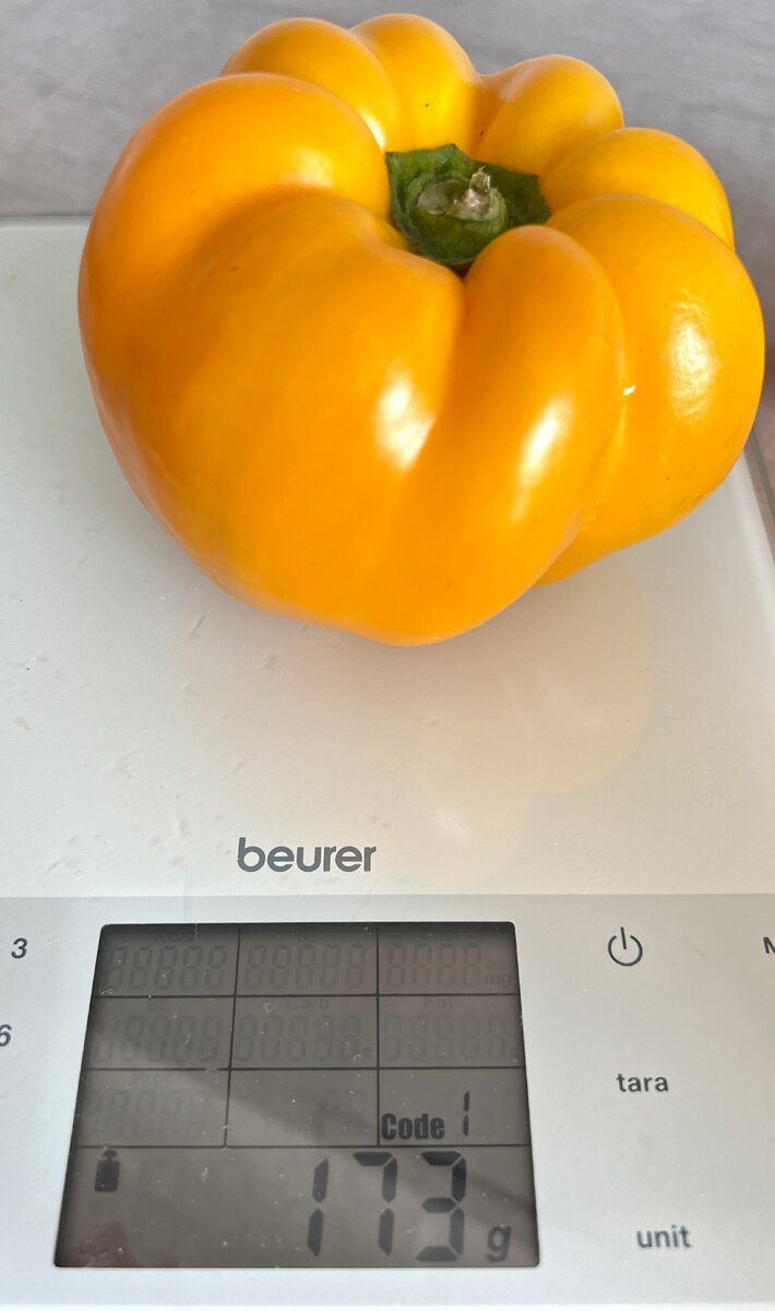 Раздел 1: Первый сорт