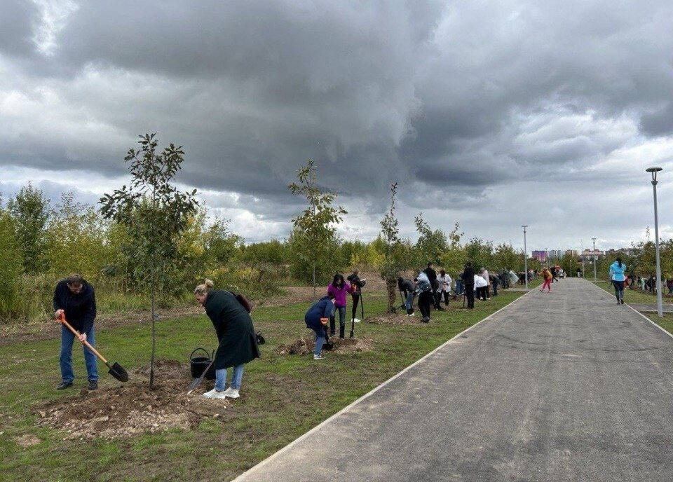 Зарядка в парке 300 летия
