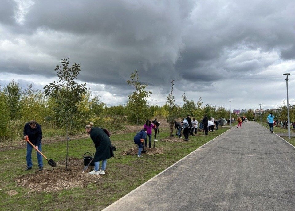 Парк 300 летия Санкт Петербурга скейт парк