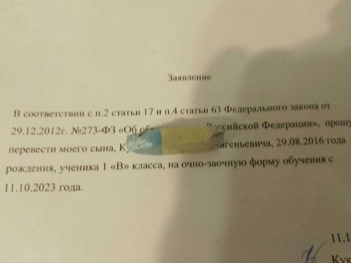 Очно-заочное обучение для ребенка с СДВГ. Наш опыт. Как перевести ребенка,  законы и правила. | Бюджетные покупки | Дзен