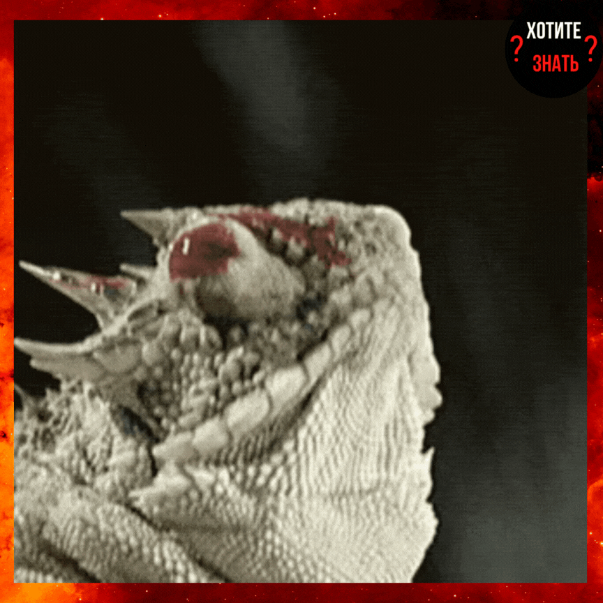 Кровь из глаз