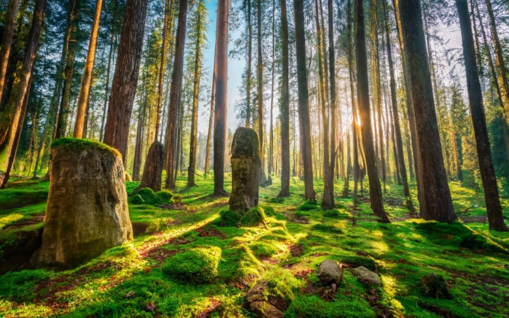 Картинка из открытых источников