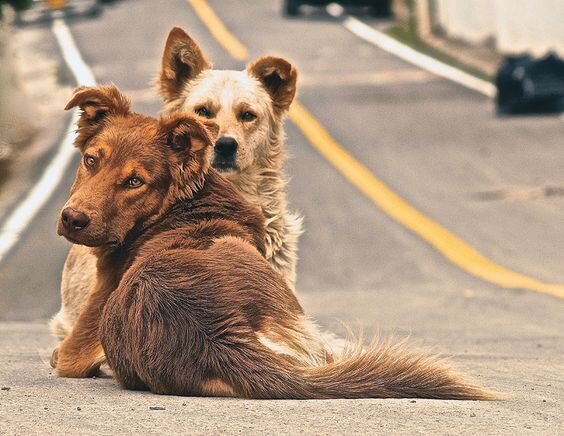 Картинка с ресурса Pinterest