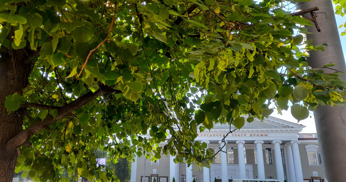 Родной Курган. Фотографии сделаны мной в августе 2023 г. Листайте галерею.