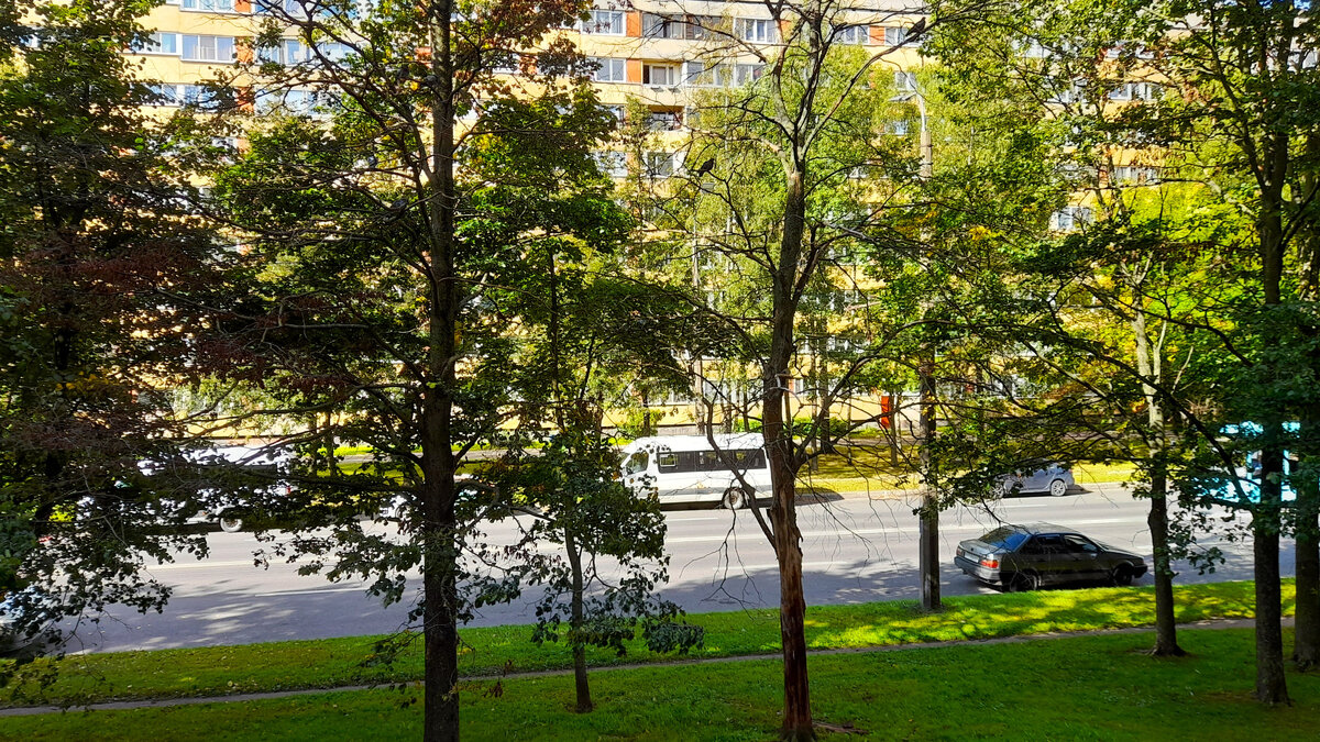 Фото сделано в Санкт-Петербурге в сентябре 2023 г.