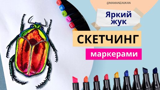 Download Video: Как нарисовать жука маркерами. Пошаговое рисование