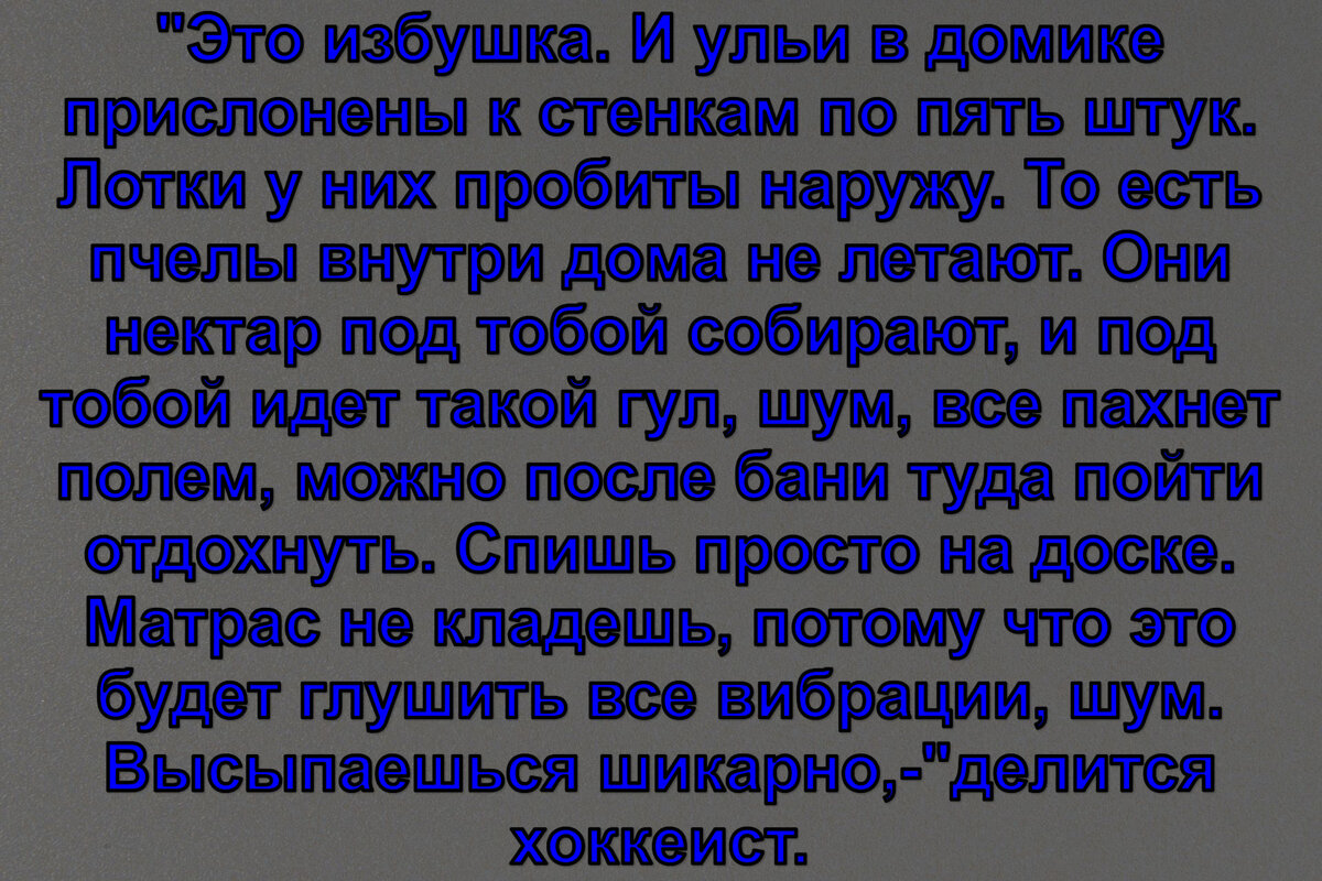 Хоккеисту Артемию Панарину нравится спать на пчелиных ульях | Оригинальное  в мире | Дзен