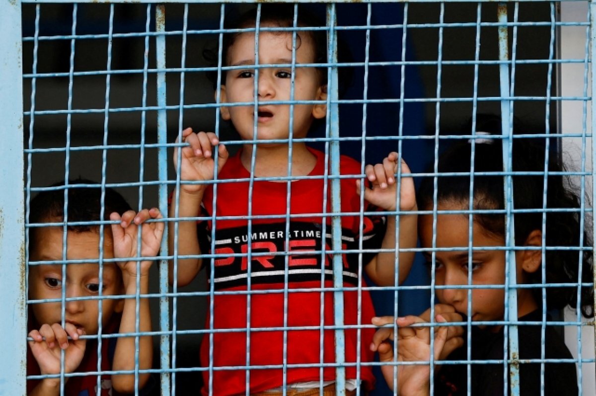    Москалькова призвала правозащитников вмешаться в ближневосточный конфликт