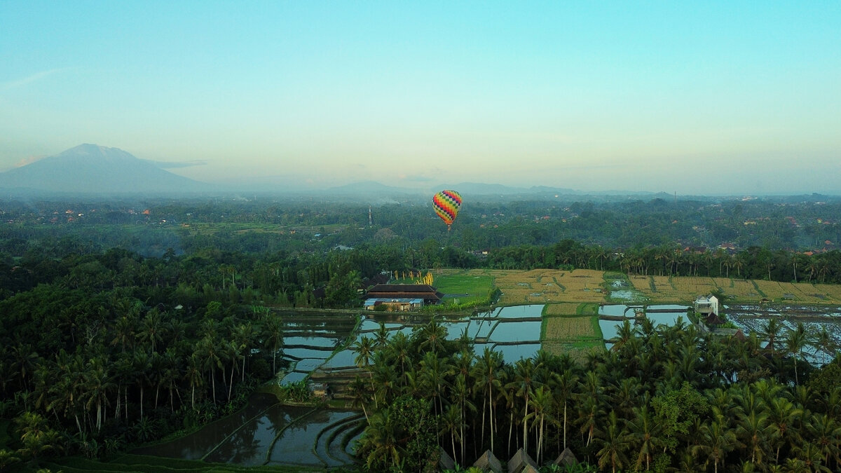 Рисовые поля и воздушный шар недалеко от Убуда на фоне виден вулкан Агунг
