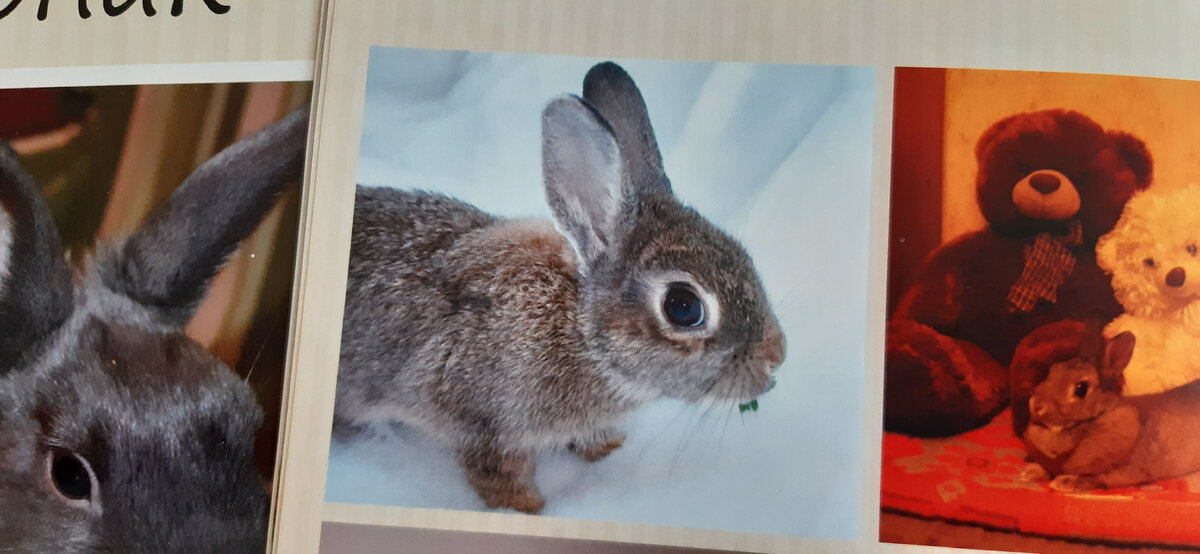 Вот такой малышкой она была