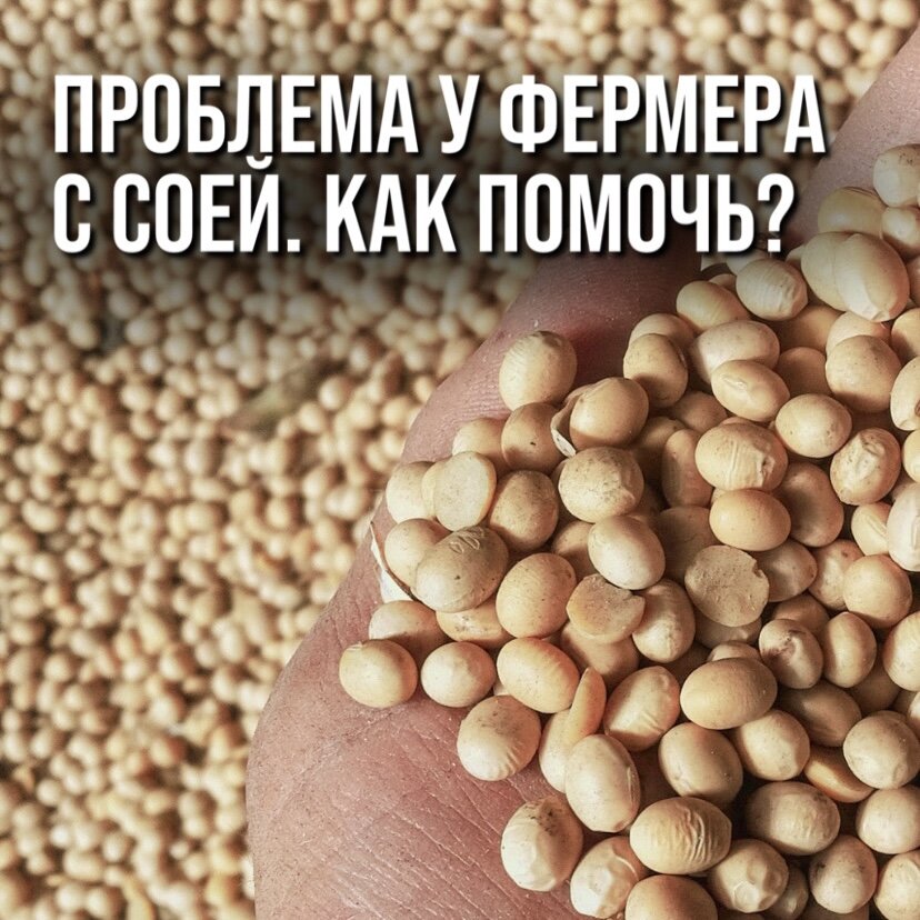 ПРОБЛЕМА У ФЕРМЕРА С ПРОДАЖЕЙ СОИ. КАК ПОМОЧЬ? 