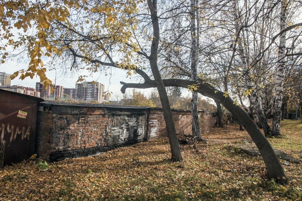 Фото: Сергей Елесин, ИА "Тюменская линия"