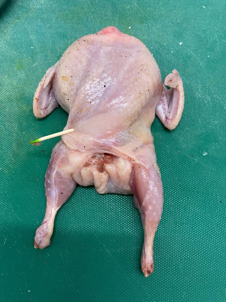 Фаршированная тушка