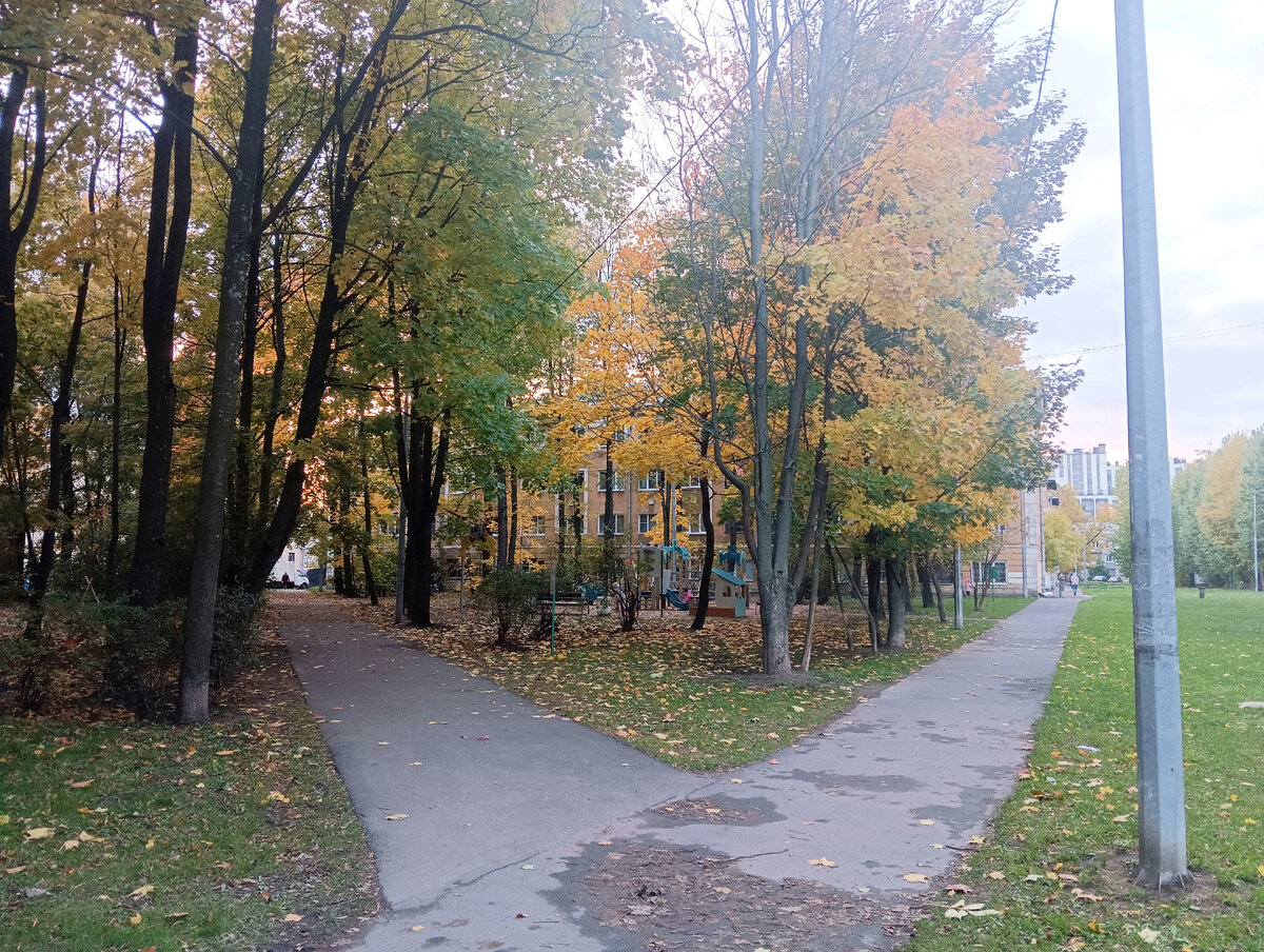 Все фото в статье - авторские. Невский район, правый берег Невы, осень. 