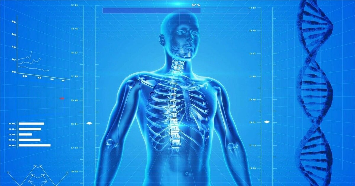10 фактов о человеческом теле