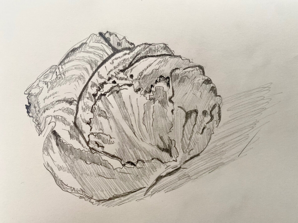 Обозначаем самые темные участки, делая их как можно чернее, показывая глубокие тени в местах, где листья сворачиваются.