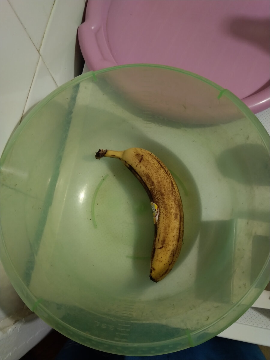 Когда дома из фруктов только один банан. Личный архив 