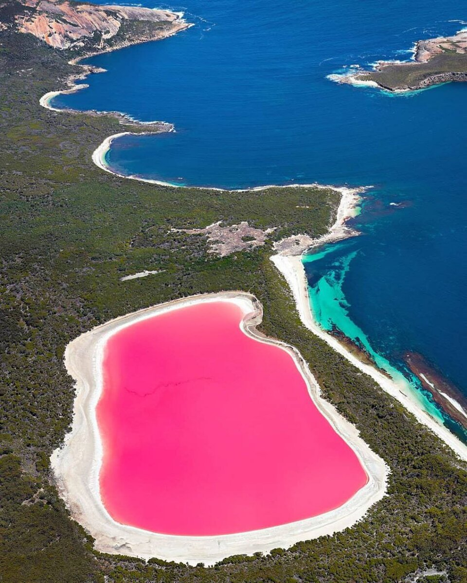 Есть розовое озеро. Озеро Хиллер (остров Миддл). Озеро Хиллер (hillier), Западная Австралия. Розовое озеро Хиллер Австралия. Озеро Хиллер остров Миддл на карте.