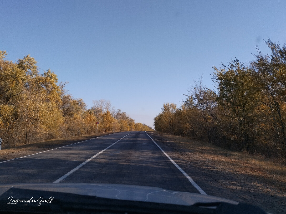 Деревья на обочинах местами желтые, местами лысые...