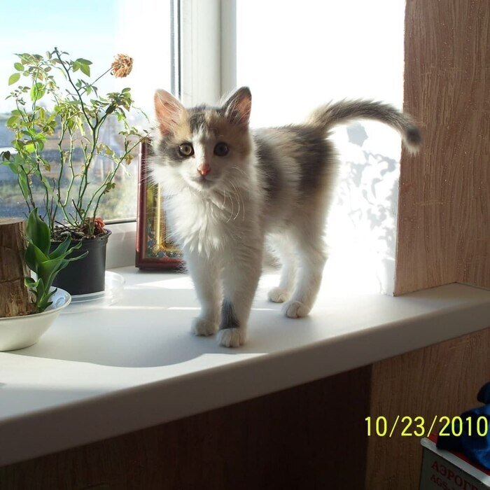 Листайте вправо, чтобы увидеть больше изображений