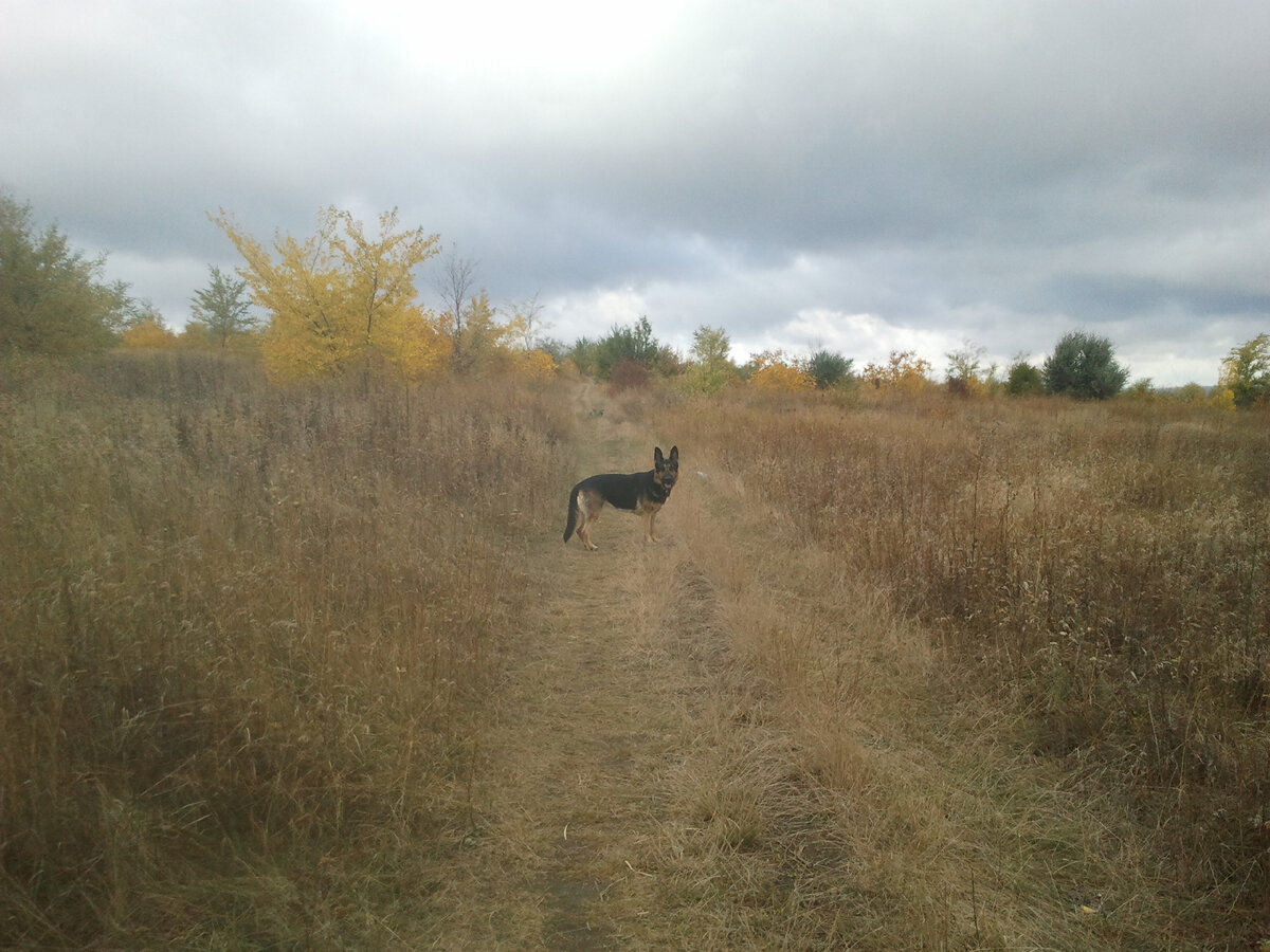 Фото автора