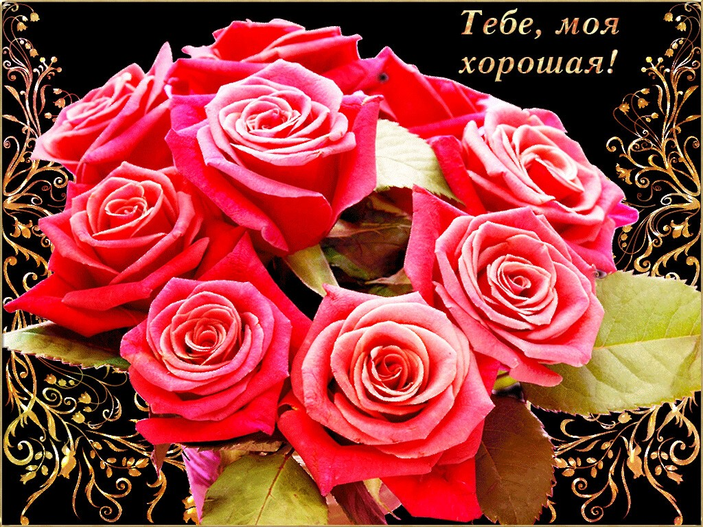 источник фото :Яндекс картинки Катюша, с днем рождения 