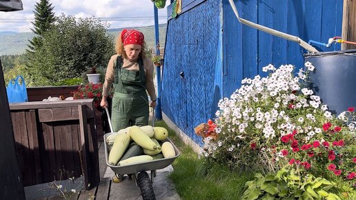 КТО-ТО ЕЩЕ ХОЧЕТ ДАЧУ | ВЫХОДНЫЕ ДАЧНИКОВ | СЕНТЯБРЬ 2023г. #местосилы ...