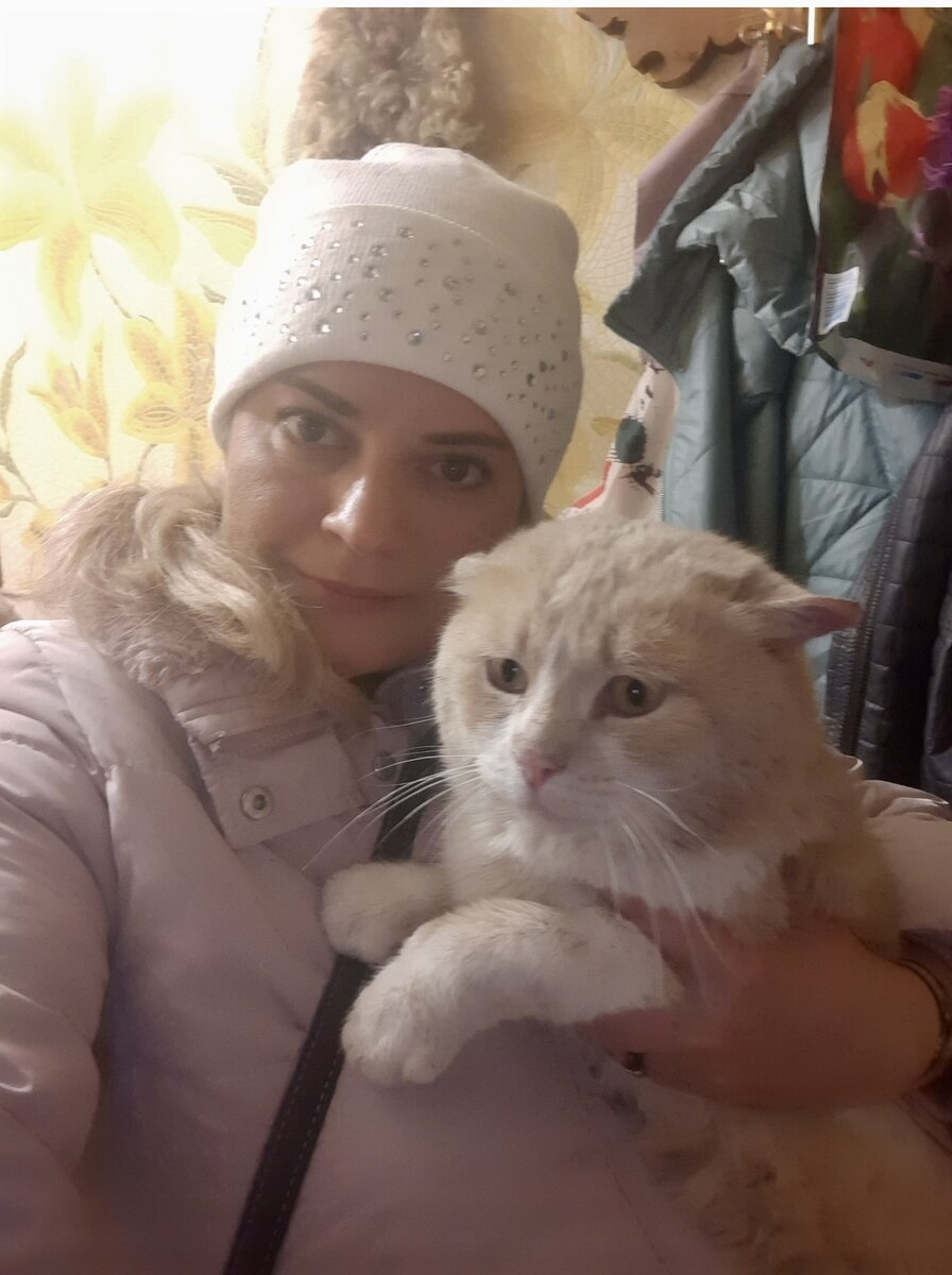 Еще новая одежда и красивый кот Персей
