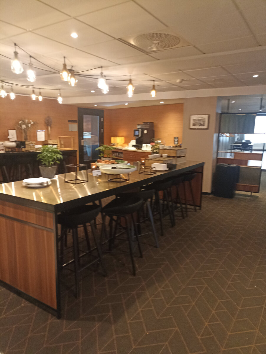 Буффет в отеле Scandic