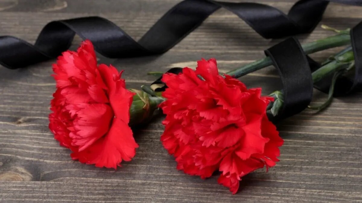 Старшеклассник подарил учителю две гвоздики, перехваченные траурной лентой. Фото: pxhere.com