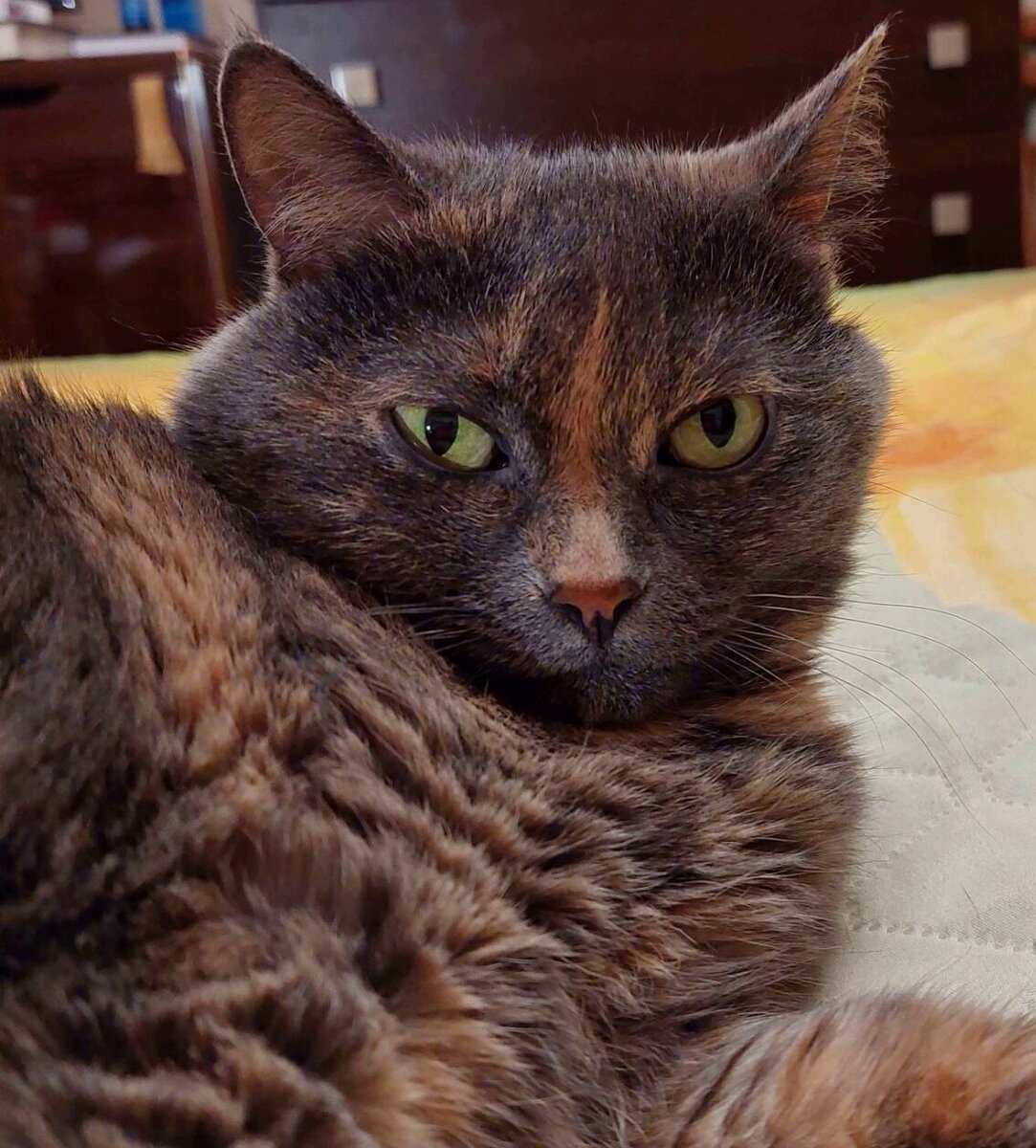 Осторожно - гипноз