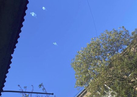    Украинские войска ведут обстрелы ДНР, Белгородской и Запорожской области. Обзор ситуации в прифронтовых регионах России на вечер 19 октября