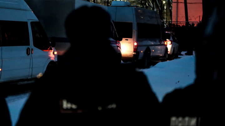 ФОТО: © DMITRY GOLUBOVICH/GLOBALLOOKPRESS 