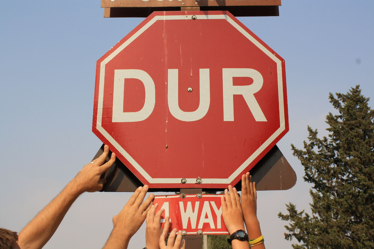 https://mavink.com/explore/Dur-Turkish-Stop-Sign